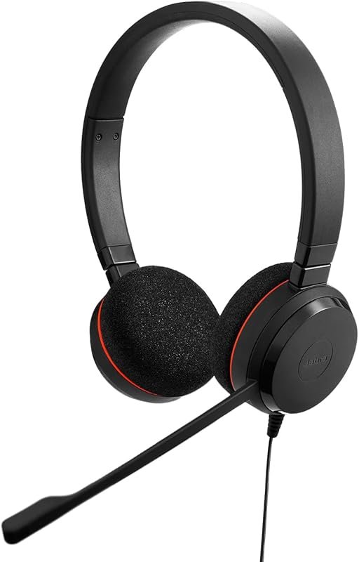 Jabra Evolve 20